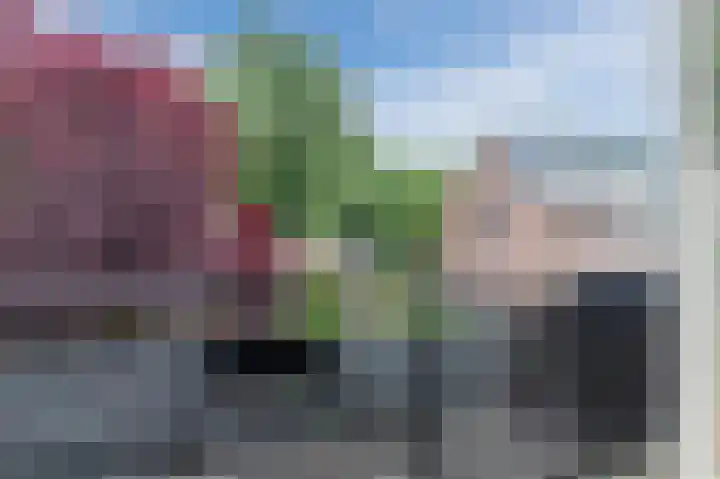 Neerijnen 27 Barneveld thumbnail 54