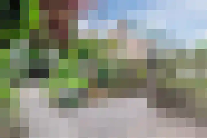 Neerijnen 27 Barneveld thumbnail 56