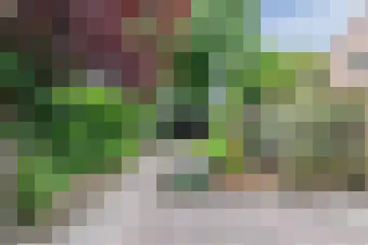 Neerijnen 27 Barneveld thumbnail 58