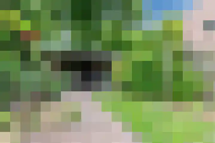 Neerijnen 27 Barneveld thumbnail 59