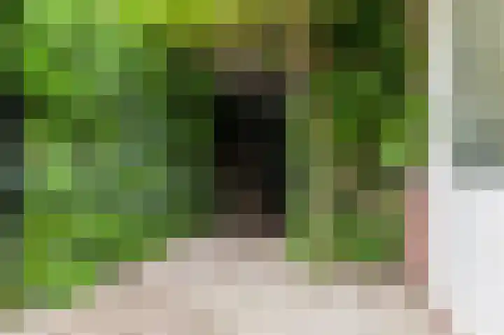 Neerijnen 27 Barneveld thumbnail 6