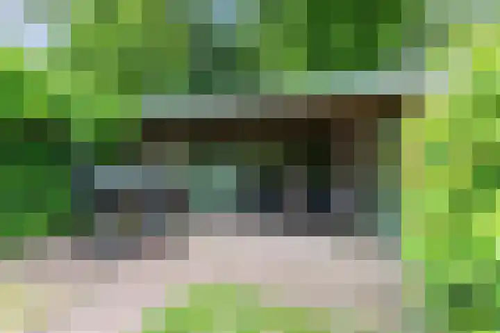Neerijnen 27 Barneveld thumbnail 60