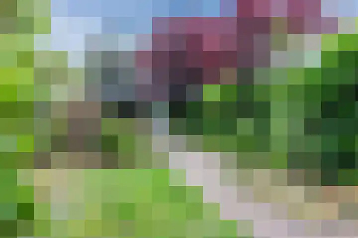 Neerijnen 27 Barneveld thumbnail 62