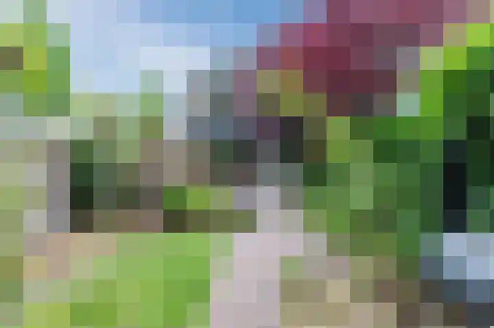 Neerijnen 27 Barneveld thumbnail 63