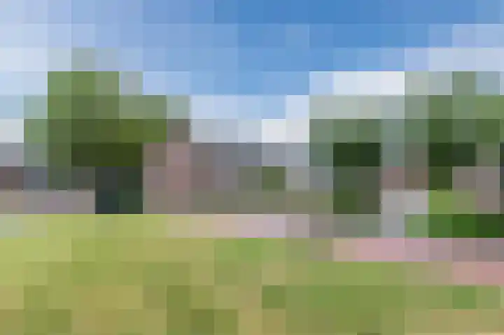Neerijnen 27 Barneveld thumbnail 65