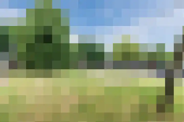 Neerijnen 27 Barneveld thumbnail 66