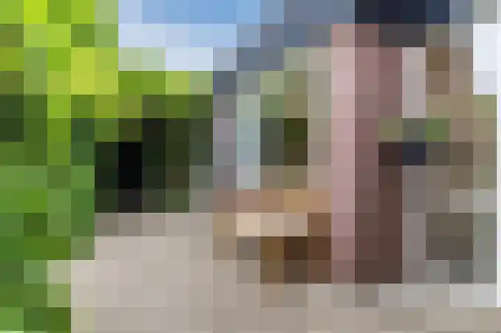 Neerijnen 27 Barneveld thumbnail 7