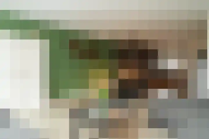 Neerijnen 37 Barneveld thumbnail 12