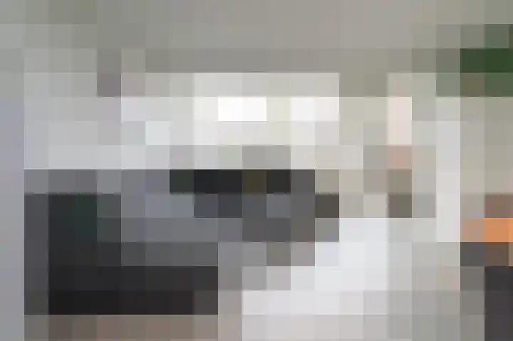 Neerijnen 37 Barneveld thumbnail 15