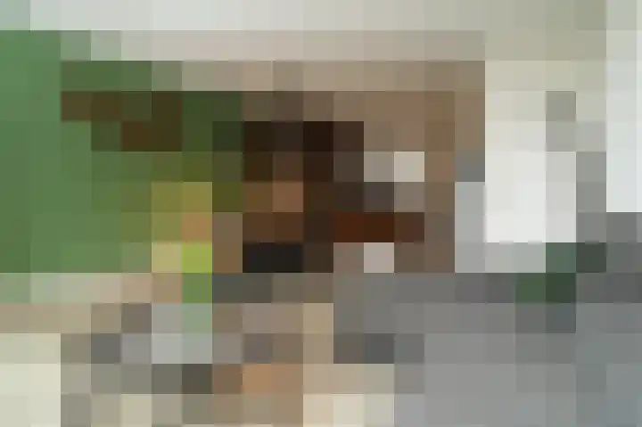 Neerijnen 37 Barneveld thumbnail 16
