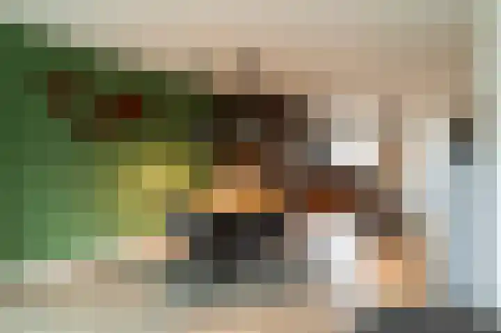 Neerijnen 37 Barneveld thumbnail 17