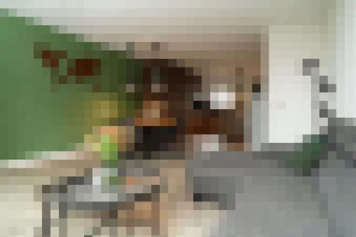 Neerijnen 37 Barneveld thumbnail 19