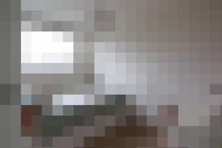 Neerijnen 37 Barneveld thumbnail 30