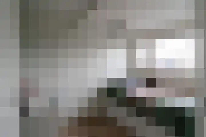 Neerijnen 37 Barneveld thumbnail 41