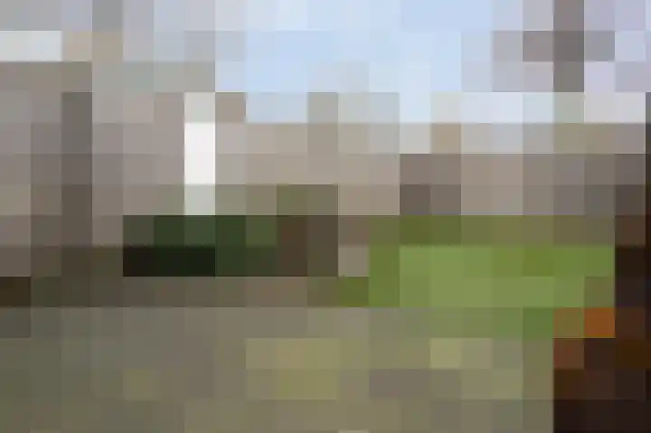 Neerijnen 37 Barneveld thumbnail 44