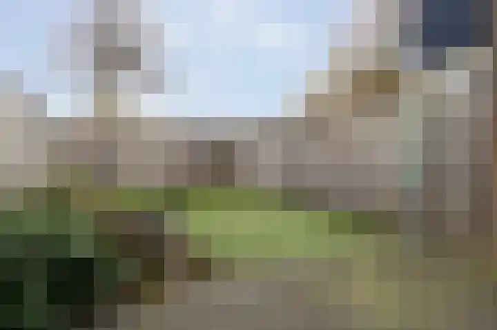 Neerijnen 37 Barneveld thumbnail 45