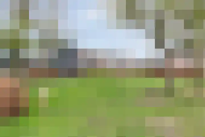 Neerijnen 37 Barneveld thumbnail 52