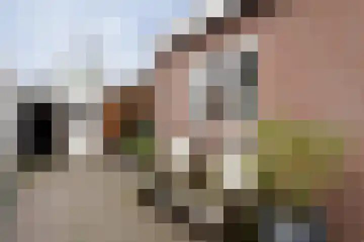 Neerijnen 37 Barneveld thumbnail 6