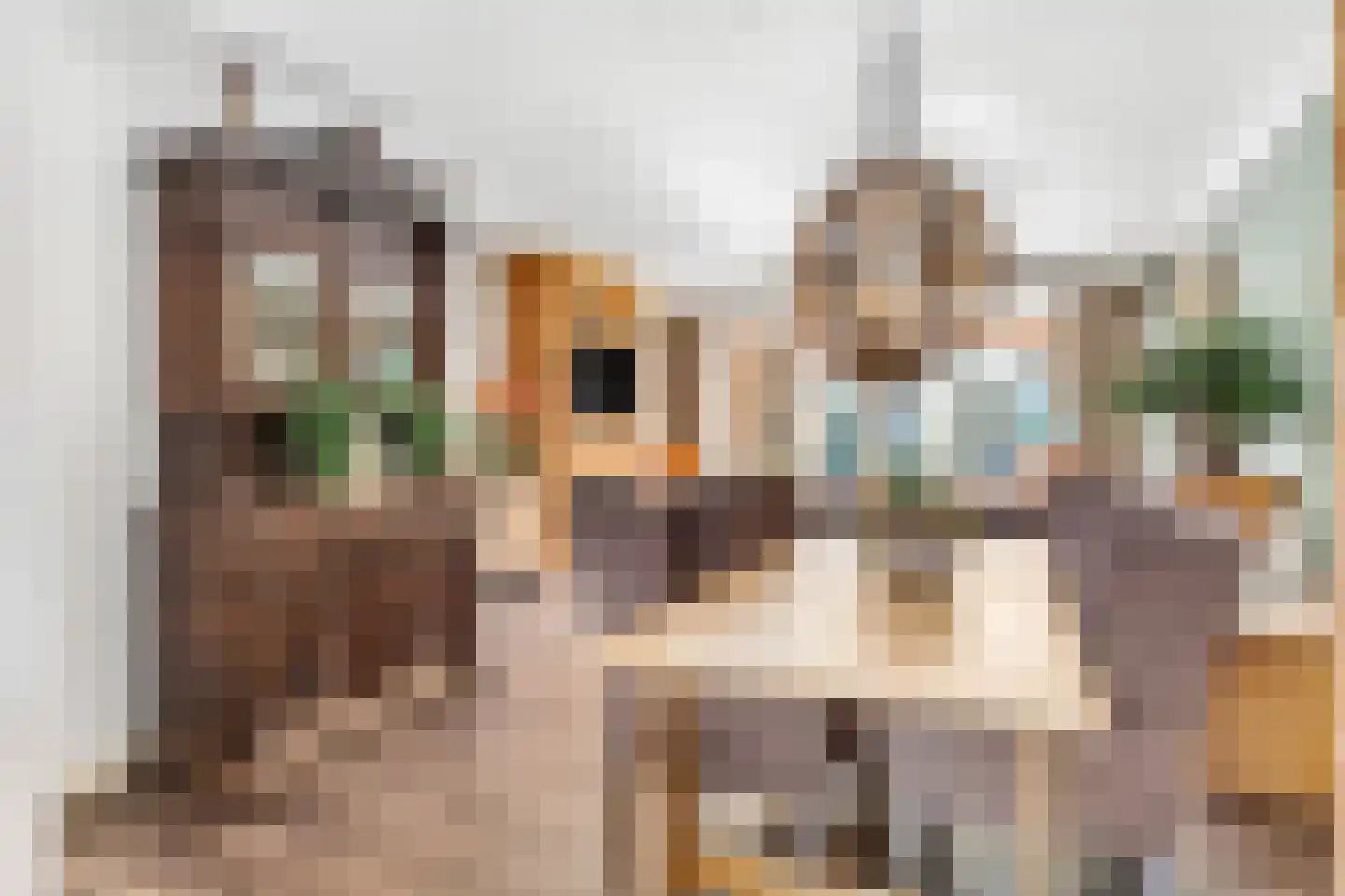 Neerijnen 70 Barneveld thumbnail 18