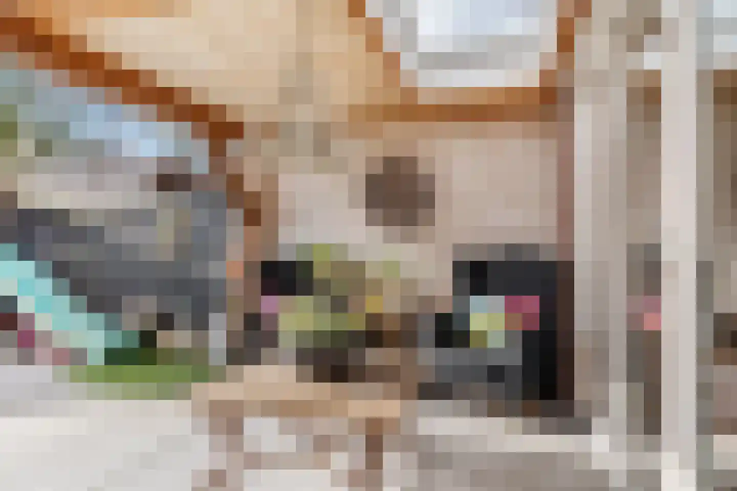 Neerijnen 70 Barneveld thumbnail 42