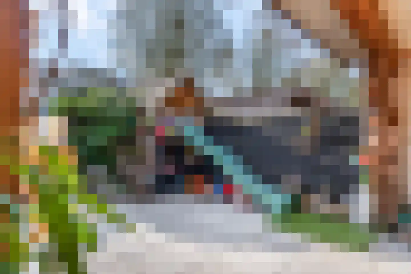 Neerijnen 70 Barneveld thumbnail 45