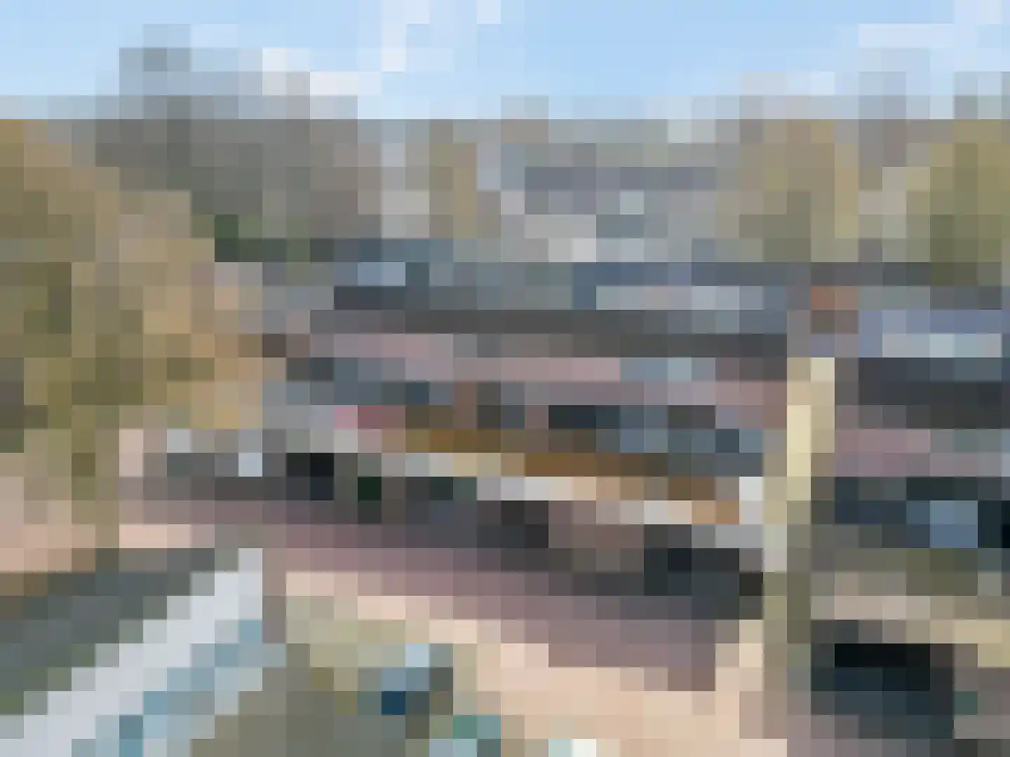 Neerijnen 70 Barneveld thumbnail 6