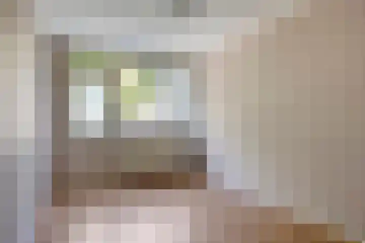 Neerijnen 77 Barneveld thumbnail 15