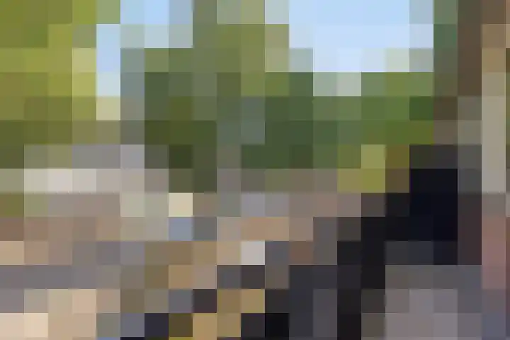 Neerijnen 77 Barneveld thumbnail 17