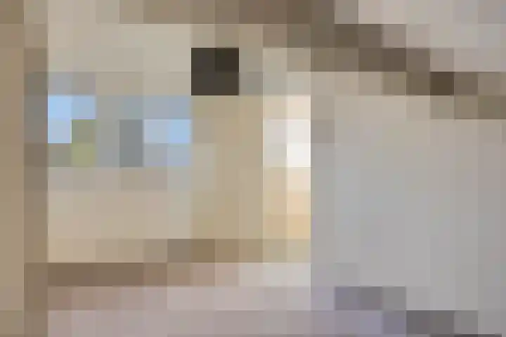 Neerijnen 77 Barneveld thumbnail 19