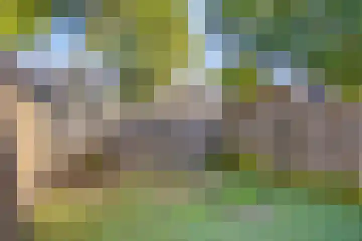 Neerijnen 77 Barneveld thumbnail 20
