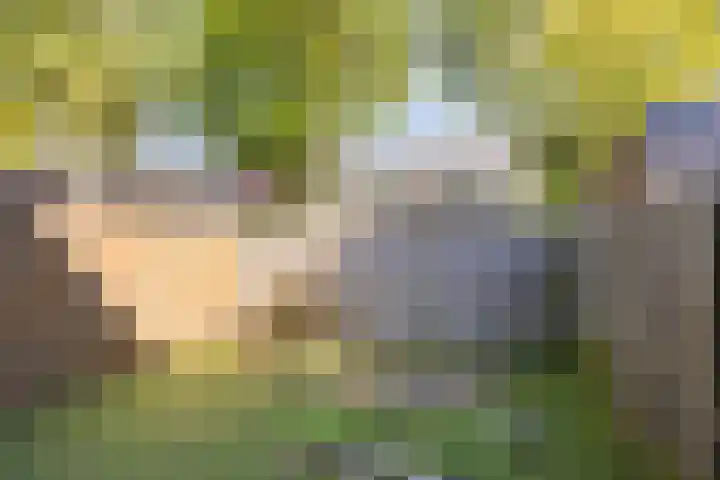 Neerijnen 77 Barneveld thumbnail 21