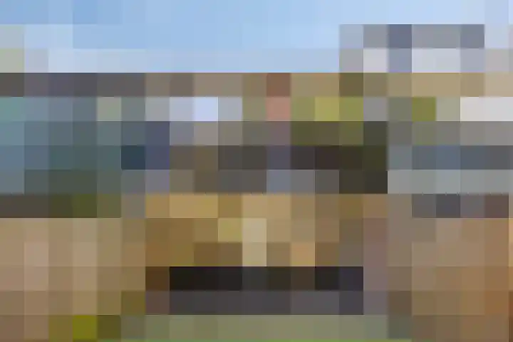 Neerijnen 77 Barneveld thumbnail 22