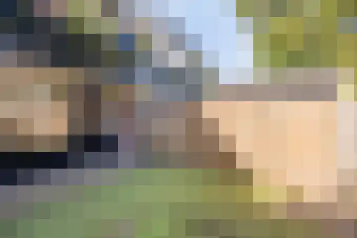 Neerijnen 77 Barneveld thumbnail 23