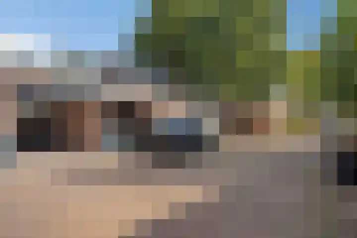 Neerijnen 77 Barneveld thumbnail 24