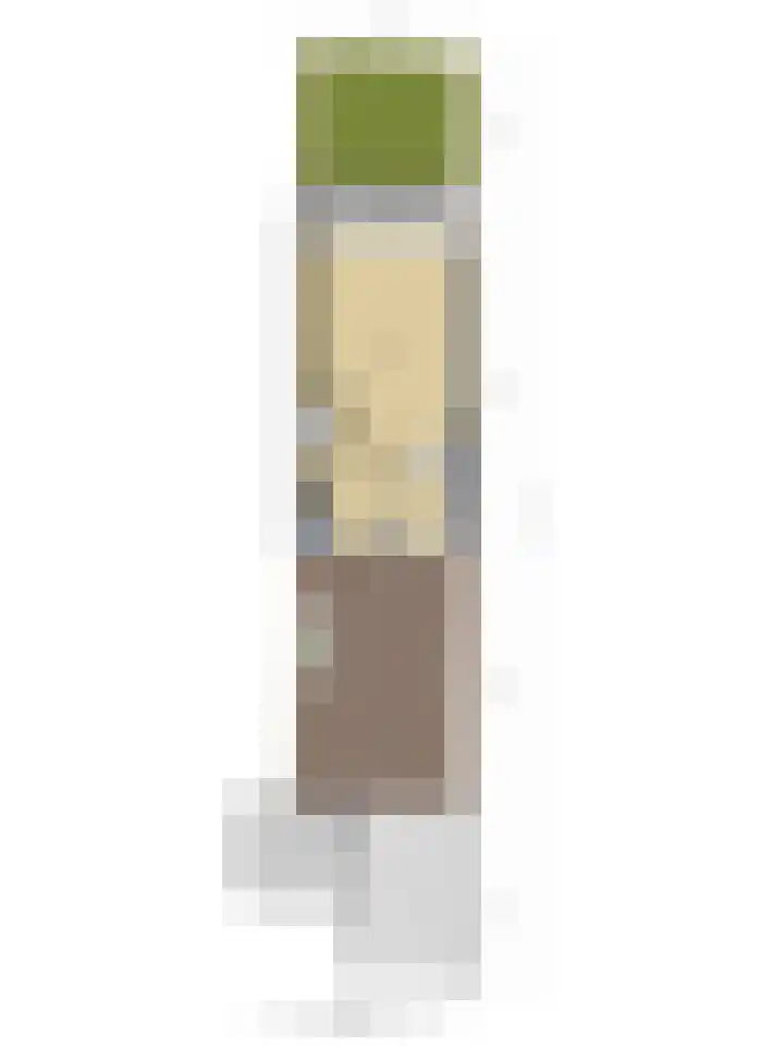 Neerijnen 77 Barneveld thumbnail 30