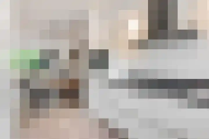 Neerijnen 79 Barneveld thumbnail 12