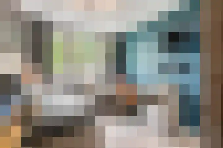 Neerijnen 79 Barneveld thumbnail 17