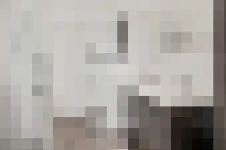 Neerijnen 79 Barneveld thumbnail 21