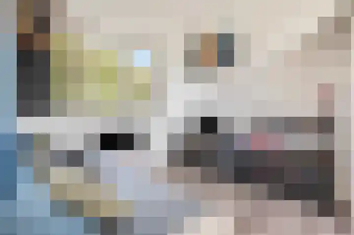Neerijnen 79 Barneveld thumbnail 25