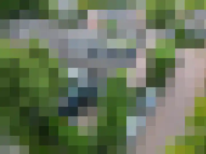 Neerijnen 79 Barneveld thumbnail 28