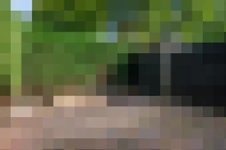 Neerijnen 79 Barneveld thumbnail 29