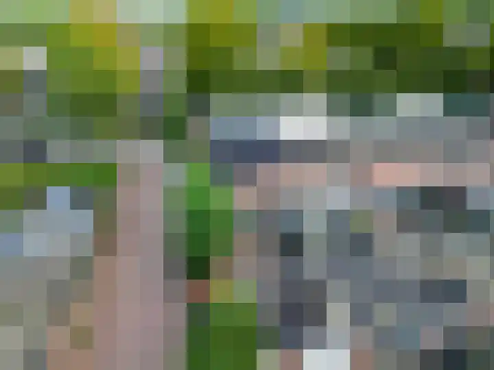 Neerijnen 79 Barneveld thumbnail 30