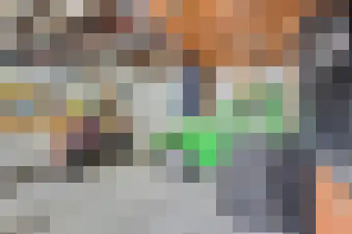 Neerijnen 79 Barneveld thumbnail 34