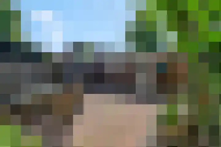 Neerijnen 79 Barneveld thumbnail 4