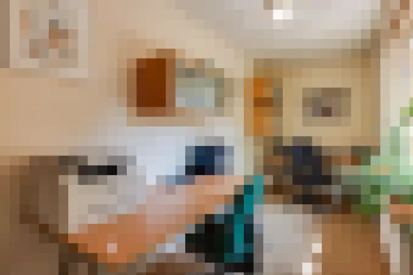 Neerijnense Mark 5 Neerijnen thumbnail 20