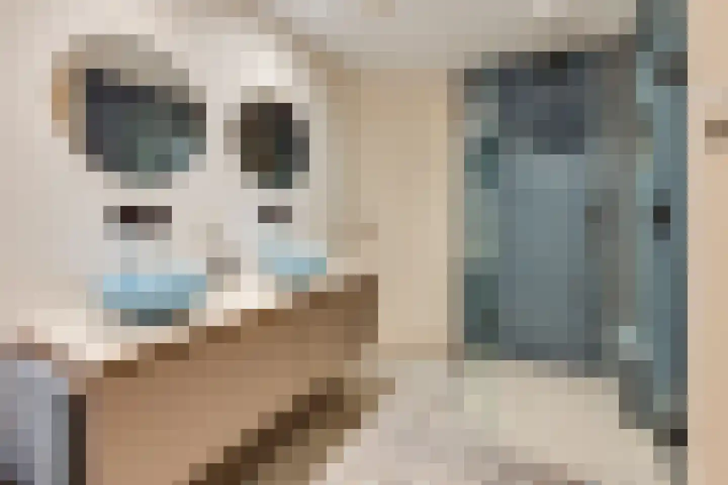 Neerijnense Mark 5 Neerijnen thumbnail 23