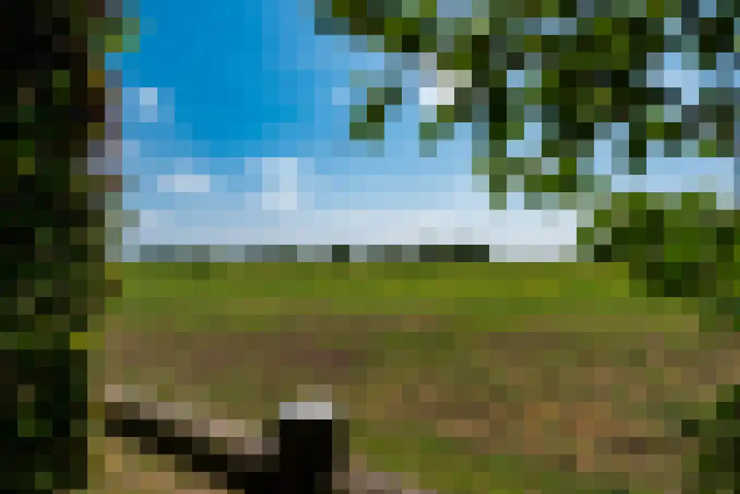 Neerijnense Mark 5 Neerijnen thumbnail 37