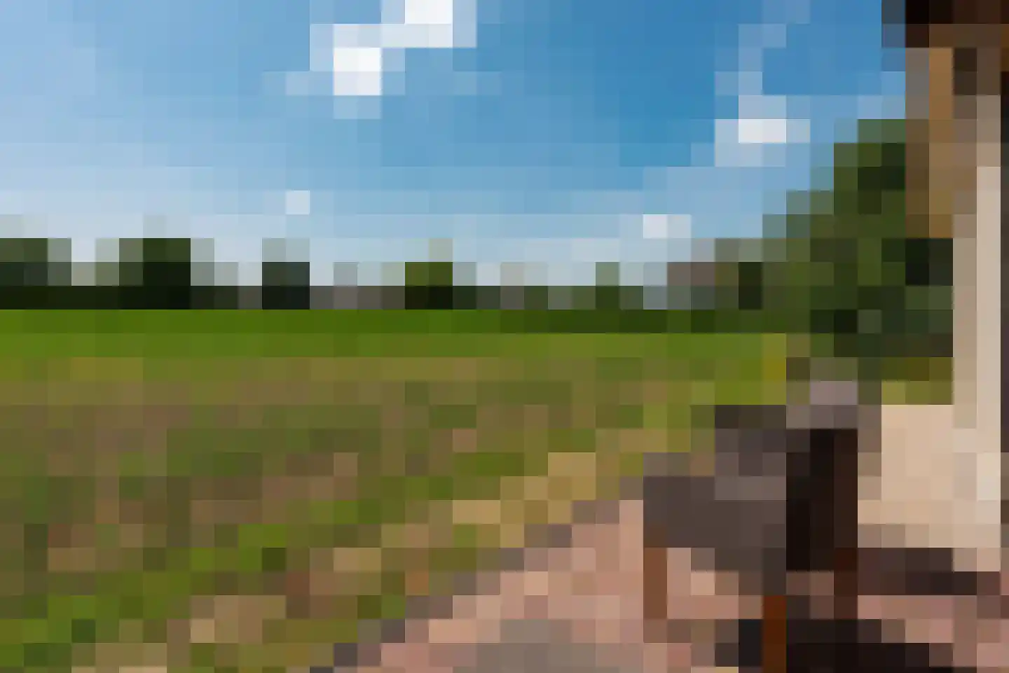Neerijnense Mark 5 Neerijnen thumbnail 38