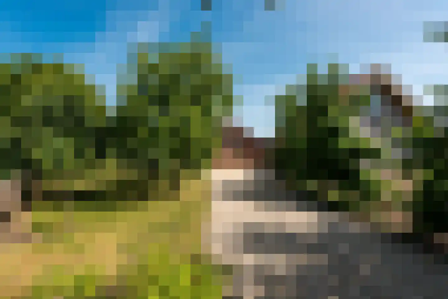 Neerijnense Mark 5 Neerijnen thumbnail 4