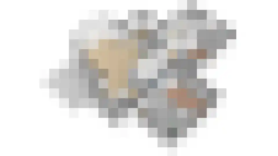 Neerijnense Mark 5 Neerijnen thumbnail 41